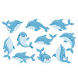 dolphin characters funny dolphins jump and swim vector image vector image