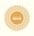 wheat ears design farm and agriculture concept vector image vector image