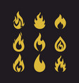 big set of flames vector image