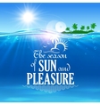 tropical beach vacation symbol for travel design vector image vector image