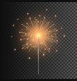 bengal fire christmas lights the festive vector image