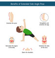 infographics of yoga pose vector image