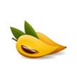 canistel fruits realistic vector image vector image