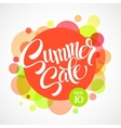 summer sale inscription against the bright vector image vector image