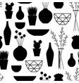home decoration vases flower pots succulents vector image vector image
