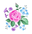 hand drawn rose vector image