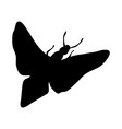 moth silhouette vector image