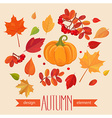 color autumn leaves and pumpkin vector image