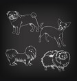 sketch of set dogs on blackboard vector image