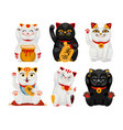lucky japanese cat set vector image