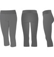 grey three quarters pants vector image