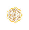 stylized flowers mandala vector image