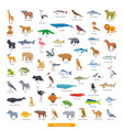 animals africa collection vector image vector image