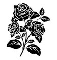 silhouette black motif rose flower blooming vector image