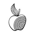 apple coloring page vector image