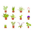 set green house plants in pots vector image vector image