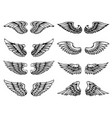set of vintage wings isolated on white background vector image
