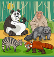 wild cartoon asian animal characters group vector image