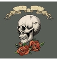 human skull with roses vector image vector image