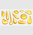 realistic golden drops different shapes of organic vector image