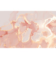 abstract rose and gold stone background vector image