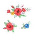 set red poppies and daisies hand drawing vector image