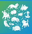 pet shop silhouette in circle template vector image vector image