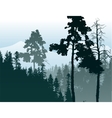 forest landscape vector image vector image