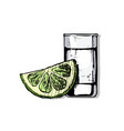 shot glass vector image