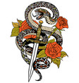 snake dagger and roses tattoo vector image