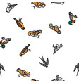 bird flying animal with feather seamless vector image vector image