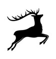christmas deer on white background vector image