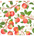 boho botanical apple seamless pattern vector image vector image