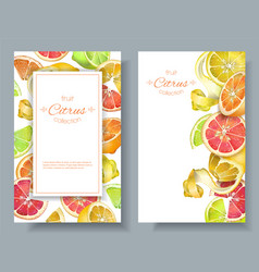 Citrus vertical banners Royalty Free Vector Image