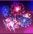 fireworks sparkling background vector image
