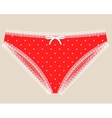 red lace lingerie vector image