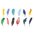 set of colorful feathers vector image