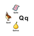 alphabet letter q-quailquincequite vector image vector image