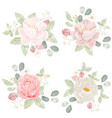 watercolor pink rose bouquet collection isolated vector image