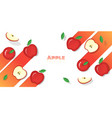 fresh apple fruit background in paper art style vector image