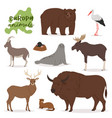 animal animalistic character in forest bear vector image