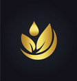 organic green leaf bio gold logo vector image vector image