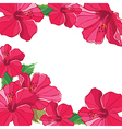floral pattern with hibiscus hand-drawing vector image