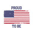 usa american national flag in disstressed style vector image