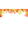 autumn nature background with leafage pattern vector image