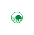 oak farm with tree logo designs vector image