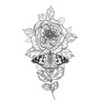 hand drawn peony flower and butterfly vector image vector image