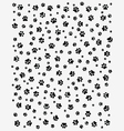 trace of cats vector image vector image