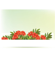 autumn banners with rowan vector image