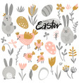 collection of rabbits chicken and flowers vector image